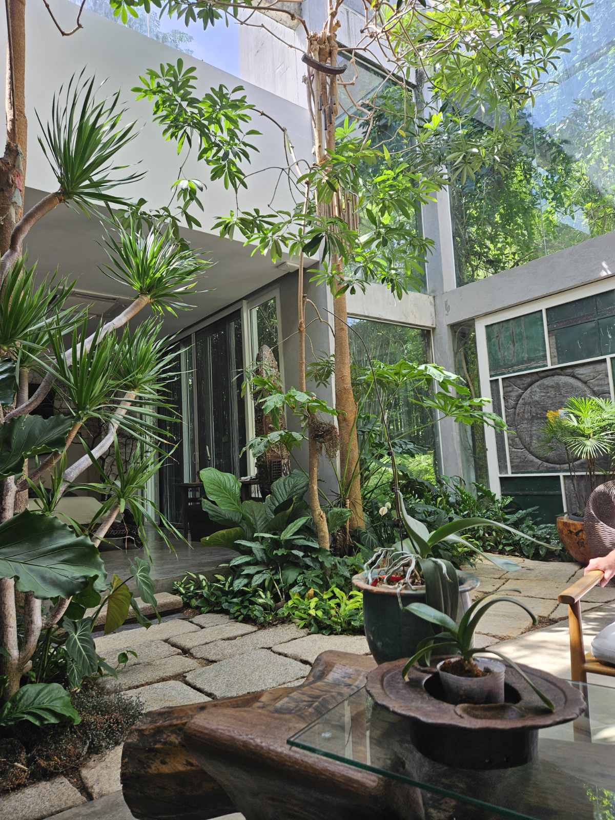 Lush and bright interiors showcasing different plants.